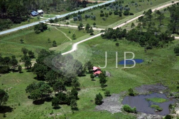 9277_ampliada 9277_ampliada