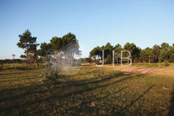 9376_ampliada 9376_ampliada