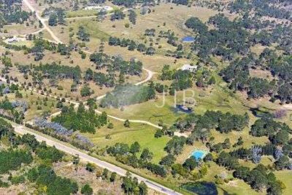 DSC_4214_opt_ampliada DSC_4214_opt_ampliada