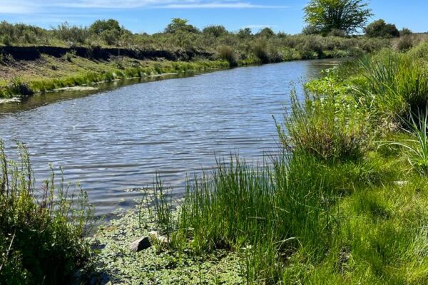 WhatsApp Image 2023-11-03 at 17.16.57