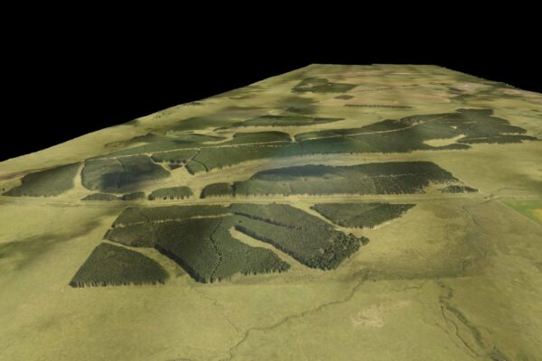 WhatsApp Image 2024-06-05 at 12.26.07