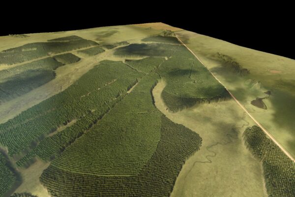 WhatsApp Image 2024-06-05 at 12.26.08